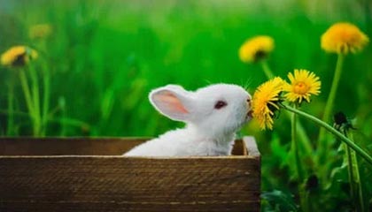 开云平台-横滨水手连续多场比赛不败，横滨水手今天比赛